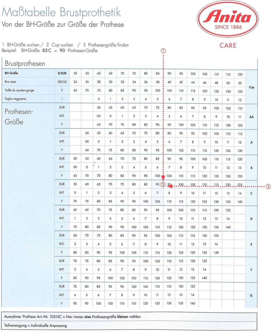 Erstprothese Equilight Aus Textil 3 Erstprothese Equilight Aus Textil – Bild 3